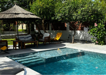 Piscine Récréative avec la Collection Petra et Ocean