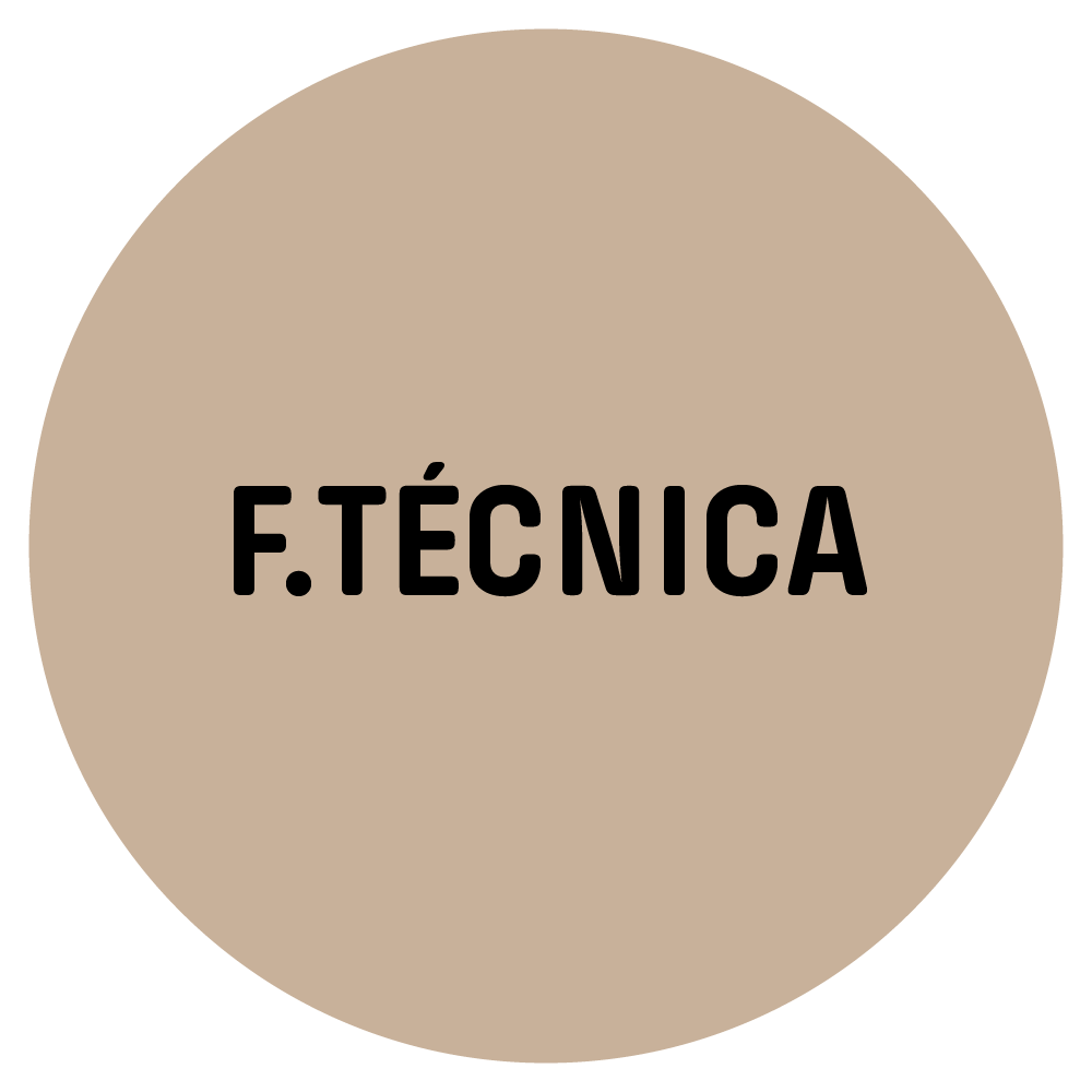 Descargar Ficha técnica